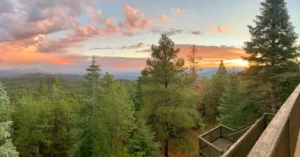 Cover-for-new-blog-post--scaled 3